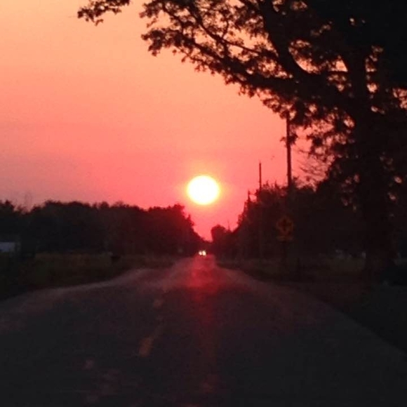 Meet your Posher, Robert-dianne - Picture 1 of 1